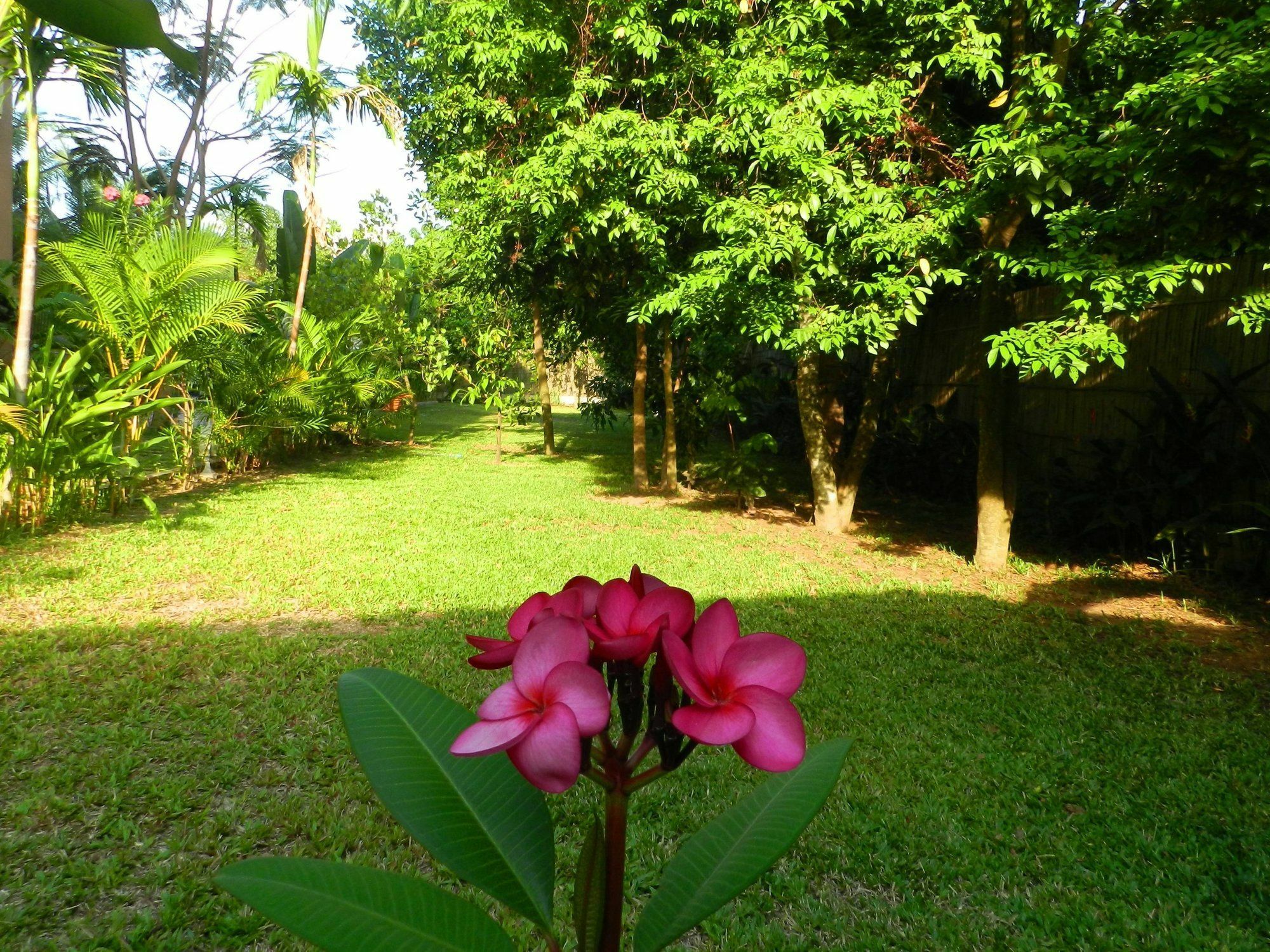Villa Nissa Siem Reap Exterior photo
